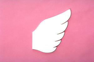 札幌周辺で、ペット火葬に悩んだときには