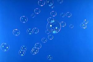 永代供養を新宿で実施している寺のサイト