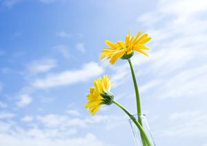 さまざまなプランがあるさいたまの葬儀場