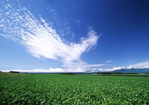 静岡市で安心して任せられる葬儀場【富士葬祭 唐瀬】の特徴とサービス詳細