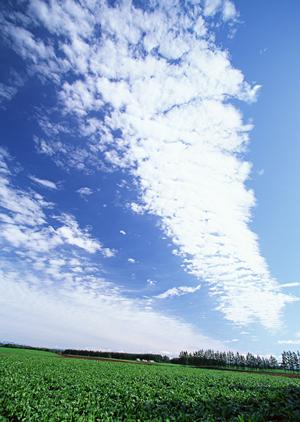 静岡市清水区に位置する家族葬・小規模葬儀の専門会場【富士葬祭 双樹】の特徴と詳細情報