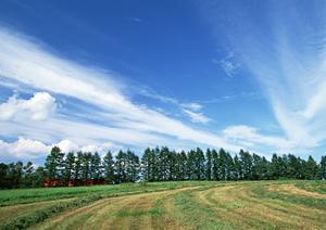 泥沼の争いを未然に防ぐ終活を始めよう