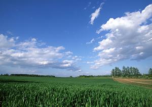 静岡市駿河区に新しい家族葬専用斎場：家族葬のタクセル大和の完全ガイド