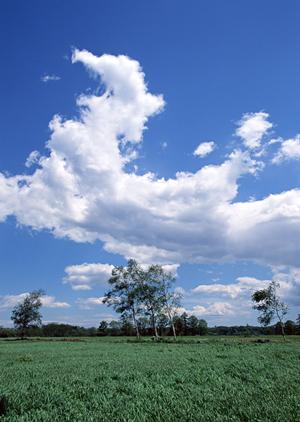 【静岡県富士市の家族葬・一日葬に対応】富士葬祭 富士原田のご案内と特徴解説