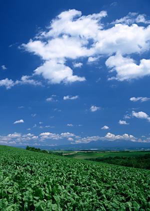 403 Forbidden – ウェブサイトアクセスエラーの原因と対処法