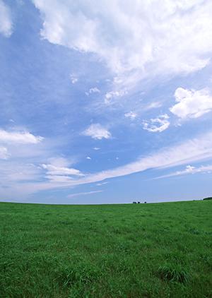 御朱印やお守りもある静岡のお寺