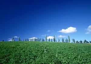 おしゃれな骨壺で手軽に手元供養を実現