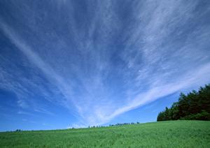 静岡県浜松市に新規オープンした家族葬専門斎場「家族葬のタクセル佐鳴台」の詳細と特徴