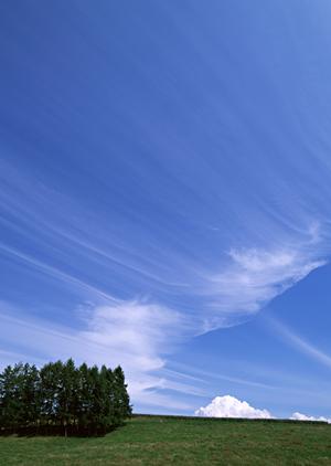 【全ての葬儀ニーズに対応】富士葬祭 高林：浜松市中央区の信頼できる葬儀場と安心のサポート体制