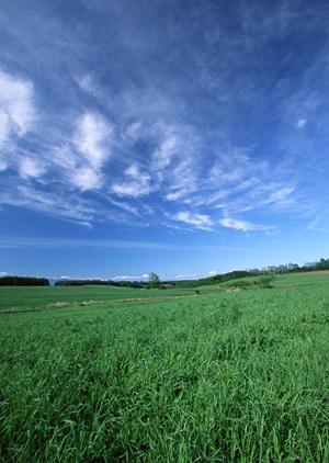 【公式】富士葬祭 富士青島 – 家族葬・小規模葬儀に最適な斎場とサービス