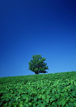 終活サポートや葬儀後のアフターサポート