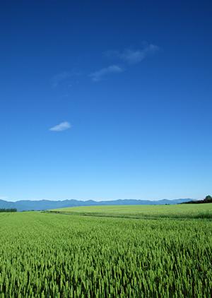 静岡県焼津市にある家族葬・小規模葬儀なら【富士葬祭 焼津中央】?安心・丁寧な葬儀サービスの詳細解説