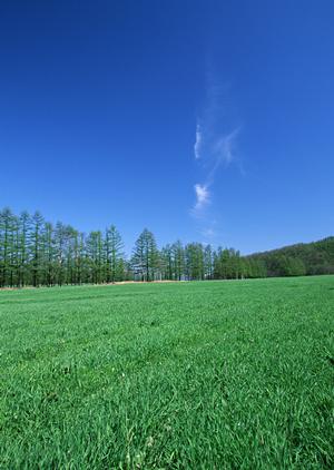 格安料金で家族葬をおこなえる業者