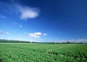 静岡県内で選ばれる信頼の葬儀サービス【家族葬のタクセル】の全て