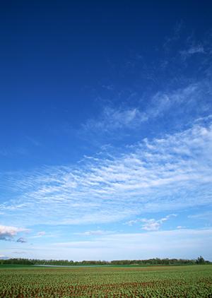 荒川区の安心と安心を提供する【葬儀相談サロン ティア町屋】の詳細情報と特徴