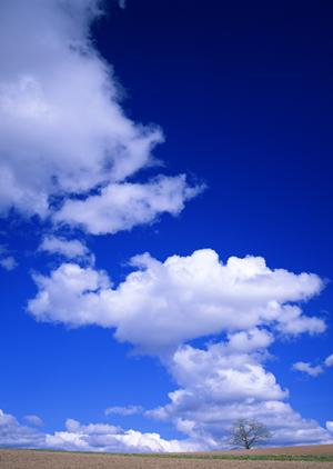 東京で法要も対応する納骨堂を探すなら