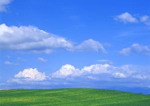 静岡焼津市に新規オープン！家族葬に特化した「家族葬のタクセル西焼津」の全貌と魅力