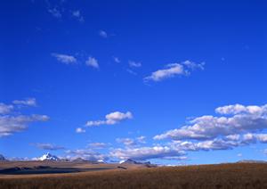 永代供養なら跡継ぎがいなくても安心です