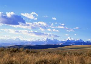 栃木県宇都宮市に新オープン！家族葬のタクセル今泉新町の特徴とアクセス情報
