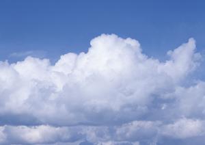 鹿児島でNPO活動を成功させるための最新ガイド2025