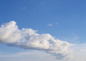 静岡県藤枝市に根ざした安心の葬祭サービス｜富士葬祭 藤枝の魅力と特徴