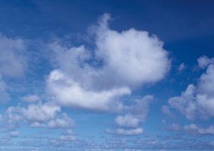 明瞭な料金提示で安心できる葬儀会社です