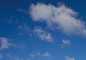 浄土真宗のお寺の東京にある屋内墓所