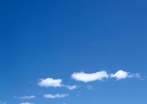 静岡市で信頼できる葬儀サービス|家族葬・直葬・火葬の低価格プランと優れたサポート体制