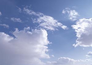 都心の安心な選択肢！23区でおすすめの永代供養墓ガイド