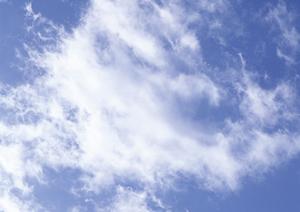 樹木葬をしたい人々が利用できる山林墓地