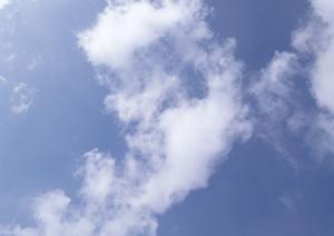 静岡県の家族葬・火葬・斎場情報と低価格葬儀サービスの詳細ガイド