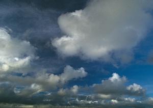 大人数も可能な葬儀屋が使いやすい