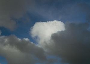 静岡県浜松市に新規オープン！家族葬のタクセル住吉の特徴とサービス内容完全ガイド