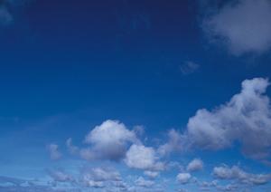 お墓を大阪で建築する時に頼れるお寺