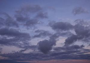 愛知県で石材店を探しているなら